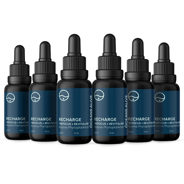 Oceans Alive Recharge (previously Marine Phytoplankton)
(6 Pack)